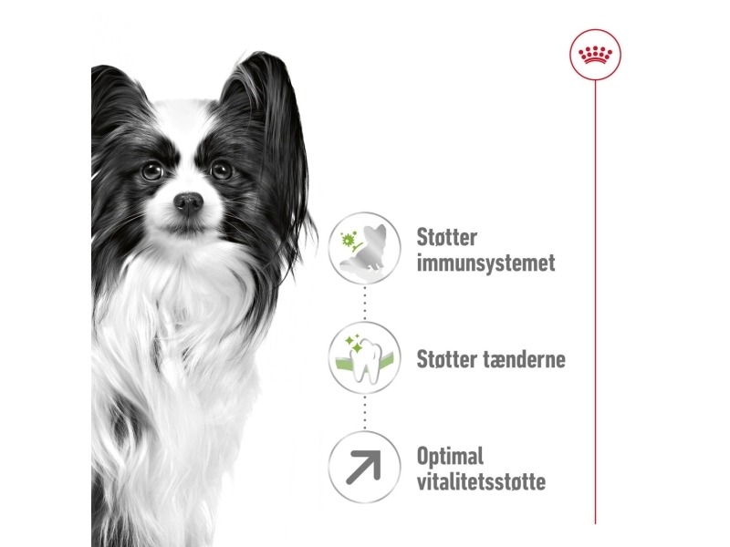 Royal Canin X-Small Adult 8+ Tørfoder Til Hund - 1.5 Kg