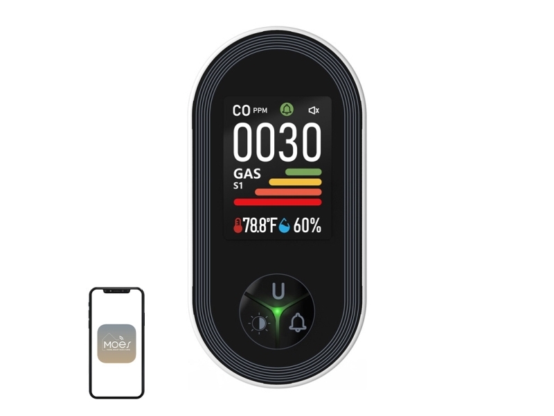 Moes Kohlenmonoxid- Und Gassensor Moes S02-Cg