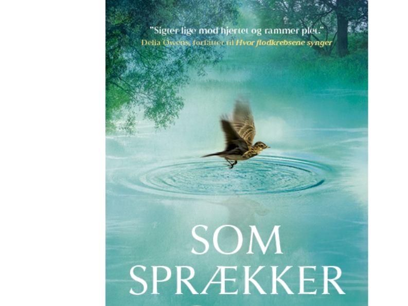 Som Sprækker I Jorden | Clare Leslie Hall