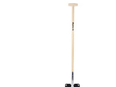 Galax damspade