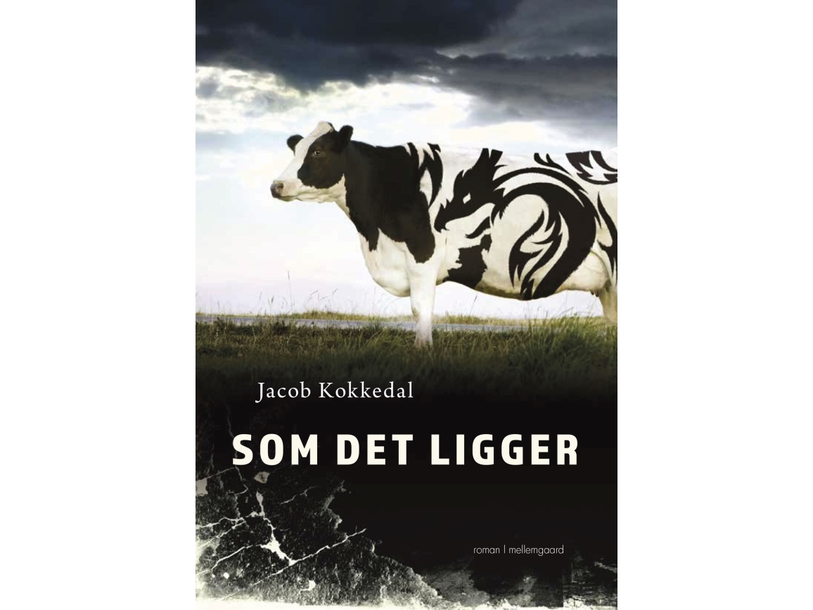 Som Det Ligger | Jacob Kokkedal