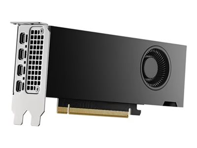 RTX 2000 Ada - 16GB GDDR6 RAM - Grafikkort