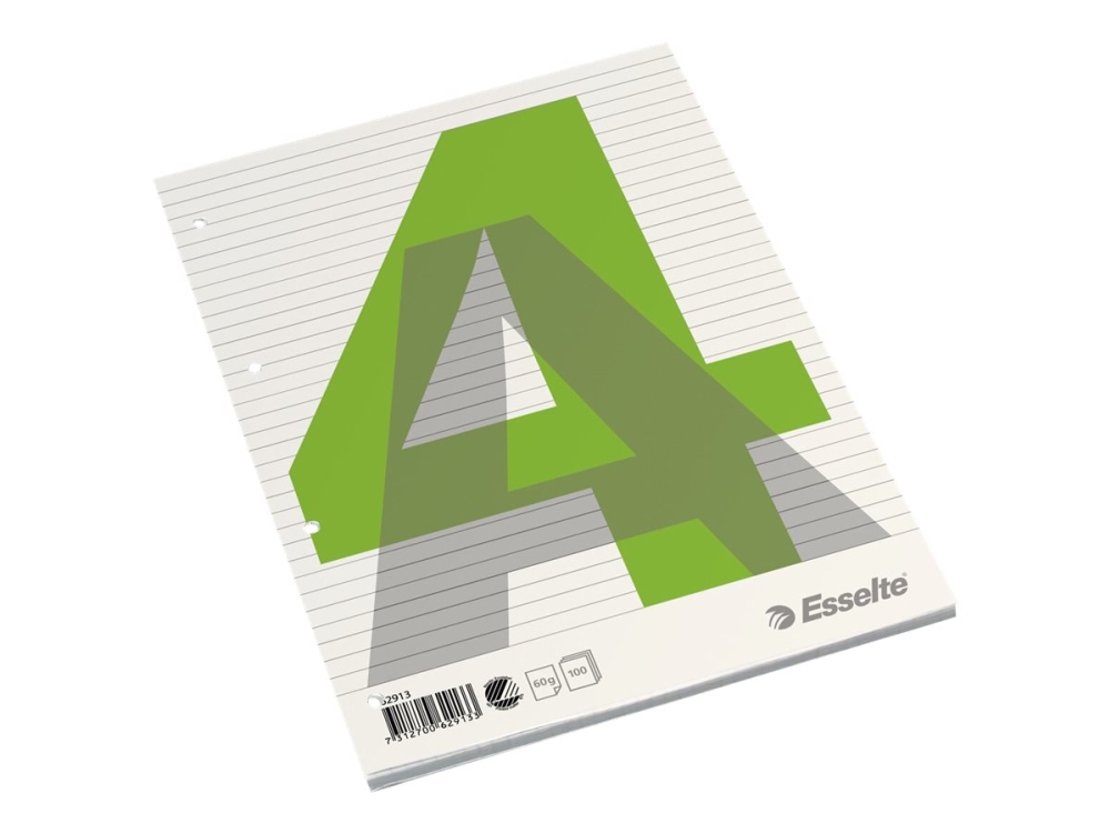Esselte - Pude - A4 (210 x 297 mm) - 100 ark / 200 sider - linjeret - 4 huller - hardback