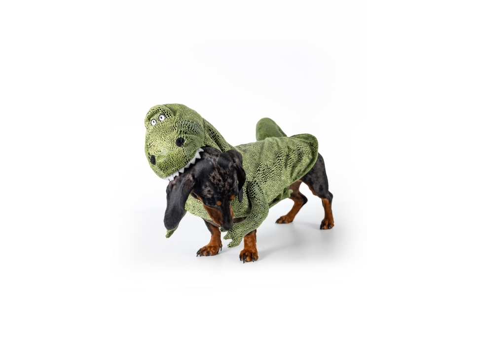 Dogman Maskeradedragt Dino XS