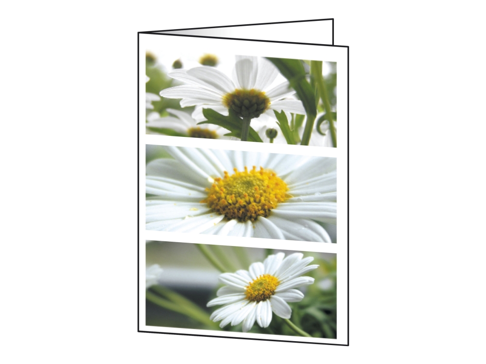 Sigel Motif Card Romance - Skinnende - A6 (105 x 148 mm) - 220 g/m² - 25 kort greeting cards