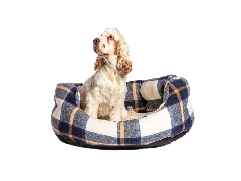 Dd Bowmore Navy Bed M 30"