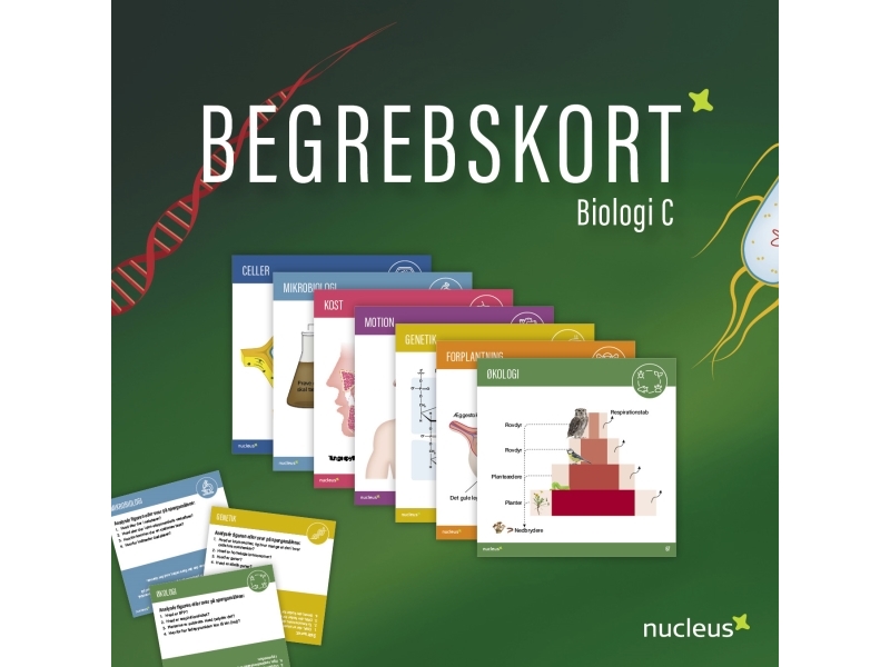Begrebskort Til Biologi C | Kirsten Hede & Hanne Wolff