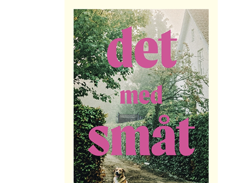 Det Med Småt | Anne Mette Kirk