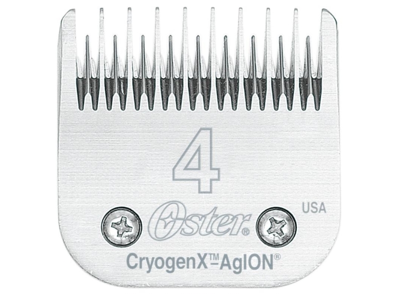 Oster-Blatt Nr. 4, Original
