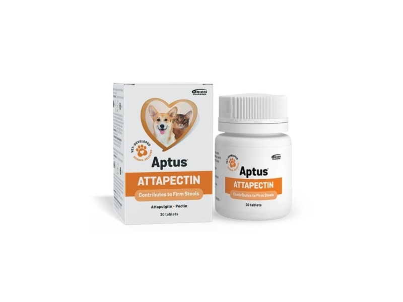 Aptus Attapectin Tabletter, 30 Stk