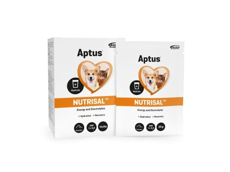 Aptus Nutrisal Pulver 10X25 G