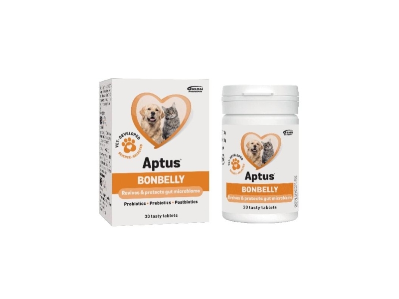 Aptus Bonbelly 30 Tabletter