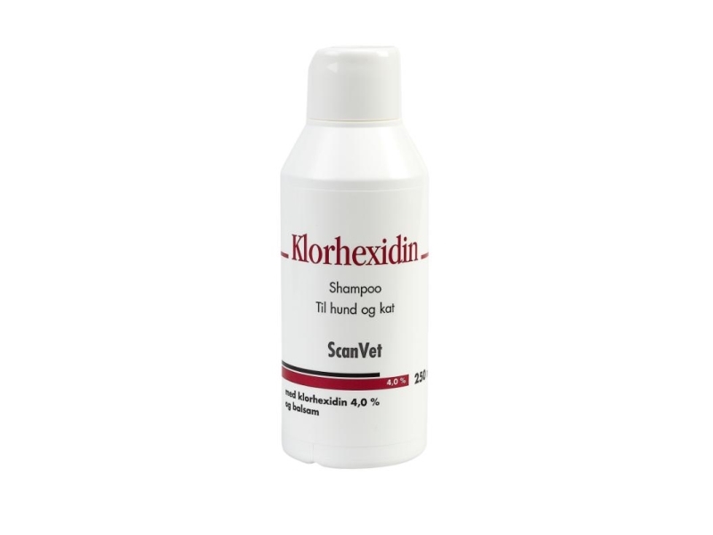 Chlorhexidin 4 %, Shampoo Mit Spülung, 250 Ml