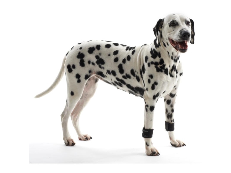Kruuse Rehab Weight Cuffs For Dogs Xs, 1 Pair