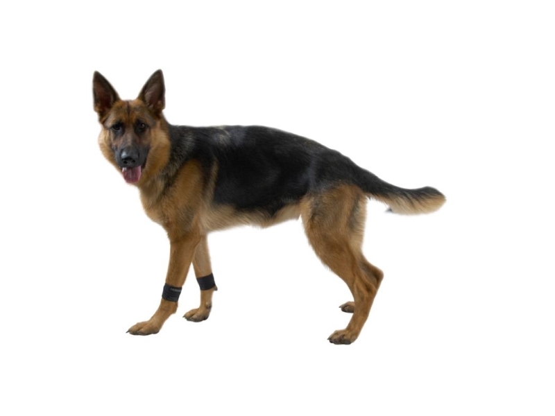 Kruuse Rehab Weight Cuffs For Dogs L, 1 Pair