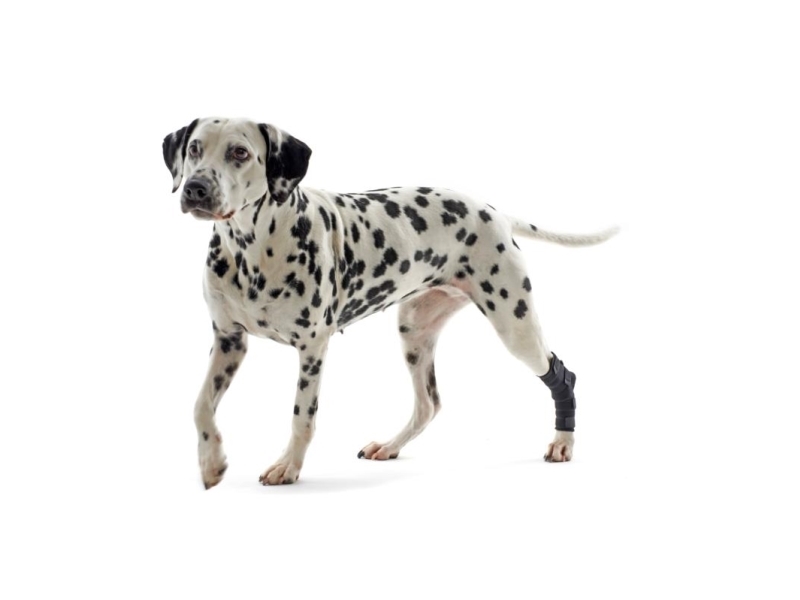 Kruuse Rehab Hock Protector Xxs