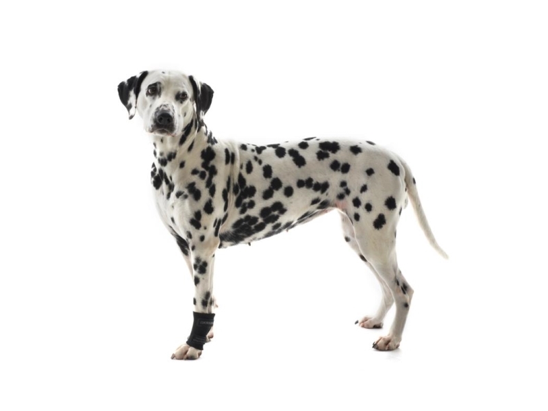 Kruuse Rehab Carpal Joint Protection Xxxs