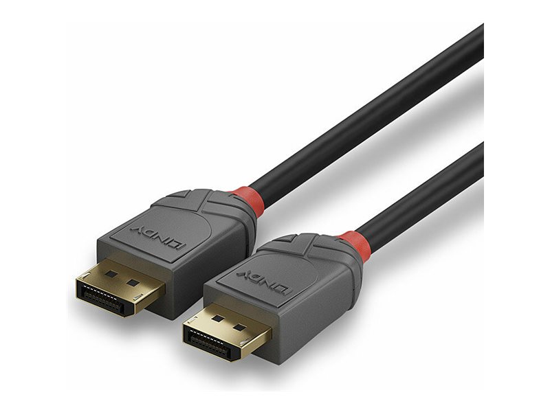 Lindy Anthra Line - DisplayPort kabel - DisplayPort (han) til DisplayPort (han) - DisplayPort 1.1 - 15 m - rund, 1920 x 1200 (WUXGA) support - sort