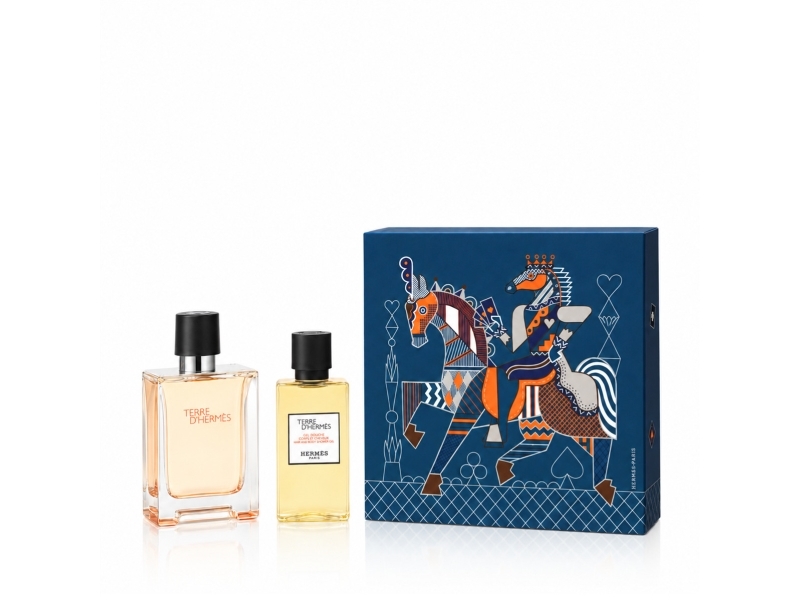 Hermès Terre D'hermès Edt 100 Ml + Sg Für Body & Hair 80 Ml (Herren)