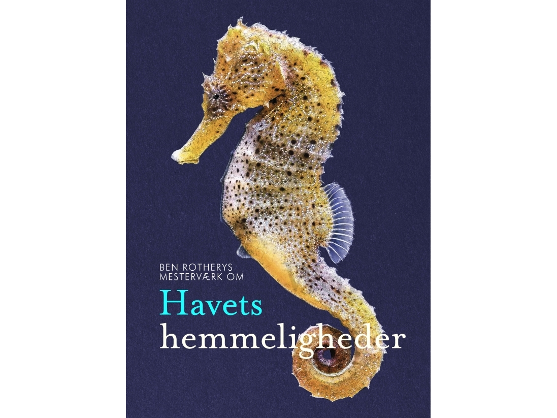 Havets Hemmeligheder | Ben Rothery