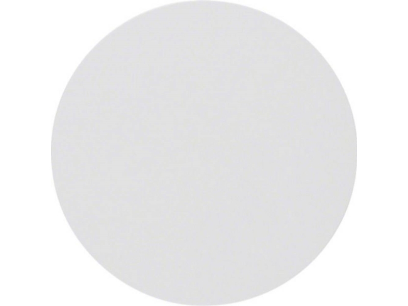 Hager Wlw1000wg Rocker R.Classic Polarhvid Blank (Wlw1000wg)
