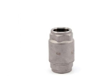 Pettinaroli Horizontal and vertical brass non return valve "glory" ty