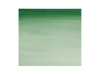 Cotman watercolour 1/2 pan Hookers Green Dk 312