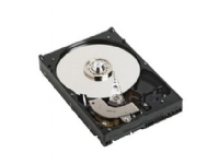 Dell – Hårddisk – 500 GB – intern – 3,5 – 7200 rpm