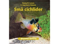 Små cichlider | Benny B. Larsen F. Ingemann Hansen | Språk: Danska