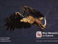 Wild Wonders of Europe