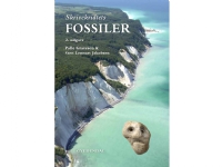 Skrivekridtets fossiler | Sten Lennart Jakobsen Palle Gravesen | Språk: Dansk Bøker - Naturen