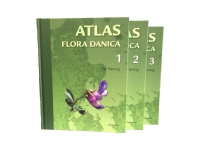 Bilde av Atlas Flora Danica | Dansk Botanisk Forening | Språk: Dansk