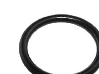 O-ring 32mm Isiflo –