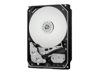 WD Gold Datacenter Hard Drive WD2005FBYZ – Hårddisk – 2 TB – intern – 3,5 – SATA 6Gb/s – 7200 rpm – buffert: 128 MB