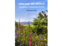Bilde av Grønlands Små Mirakler | Gitte Lincke Ottosen | Språk: Dansk