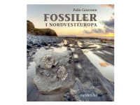 Bilde av Fossiler I Nordvesteuropa | Palle Gravesen | Språk: Dansk
