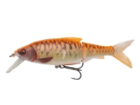 SG 3D Roach Jerkster 145 14.5cm 68g SS 06-Gold Fish PHP Utendørs - Fiskeutstyr - Sluttelement