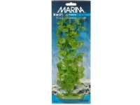 HAGEN MARINA CARDAMINE PLANT 30 cm