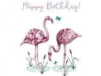 Bilde av Clear Creation Karnet Swarovski Kwadrat Cl0302 Urodziny Flamingi