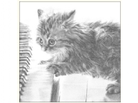 DA VINCI Picket cat on the piano sketch 16x16 cm + envelope (B4D 224 003) Barn & Bolig - Dekorasjon - Gaveartikler