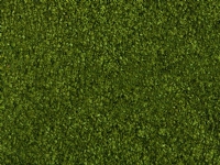 Bilde av Noch Leafy Foliage, Grønn