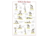 Yoga for køer PLAKAT Bøker - Sport - Trening