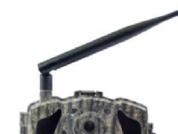 Bilde av Berger & Schröter Mg984g-30m Vildtkamera 30 Megapixel Black Leder, Fjernbetjening, No-glow-led, Lydoptagelse, Gsm-modul, 4g Billedoverførsel Camouflage