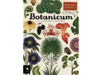 Botanicum | Katie Scott & Kathy Willis | Språk: Danska
