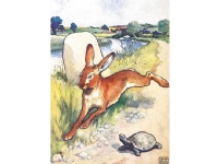 Bilde av Museums & Galleries B6 Pass With The Hare And The Tortoise Envelope