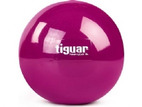 Tiguar Treningsball Heavy Ball 1 kg Tiguar Violet univ (TI-PHB010) Sport & Trening - Sportsutstyr - Fitness
