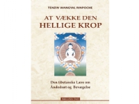 Bilde av At Vække Den Hellige Krop | Tenzin Wangyal Rinpoche | Språk: Dansk