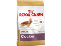 Bilde av Royal Canin Cocker Adult, Adult, Cocker Spaniel, Medium (11 - 25 Kg), Mais, Fjærfe, Ris, 12 Kg
