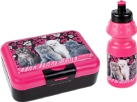 Starpak PG AND BOTTLE BOX OF SNIAD CATS PB 1/24