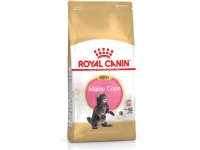 Royal Canin Maine Coon Kitten, Kattunge, Maine coon, Fjærfe, Ris, 4 kg, Antioksidanter medfølger Kjæledyr - Katt - Kattefôr
